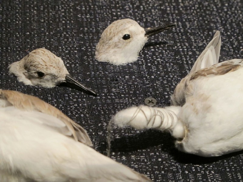 "Please don't touch the exhibition" display case.