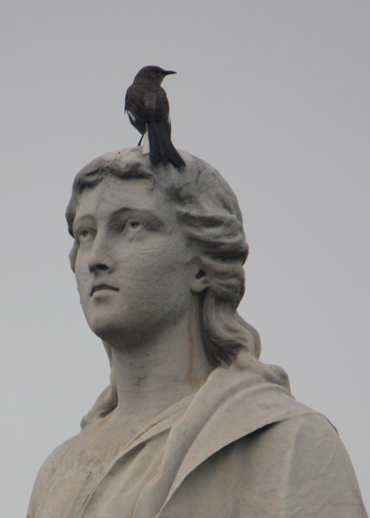 (small)OaklandCemetary-StatueWithBird(2)