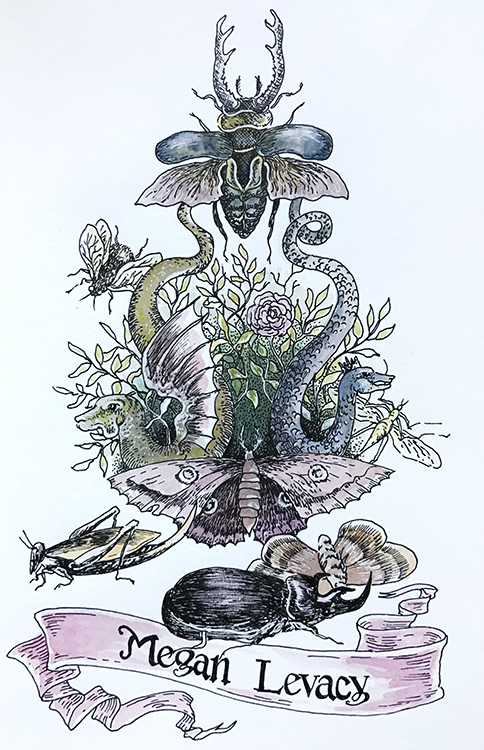 levacy-skb-namepage1