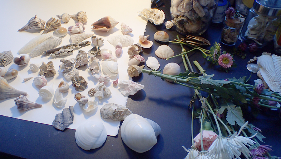 Week 8: Vanitas Still-Lifes with Shells and Flowers – Cry The Bird