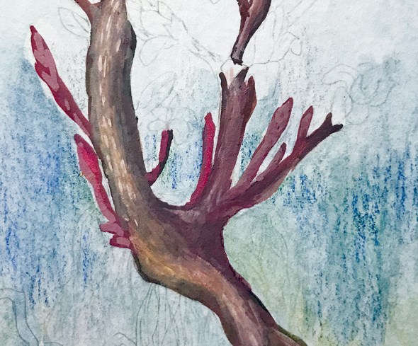 Week14-Roots(detail2)