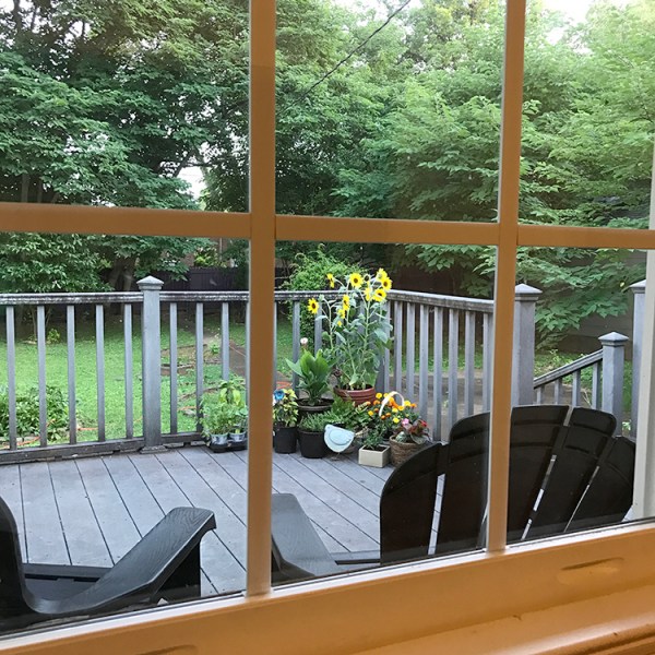 crythebird-porchview