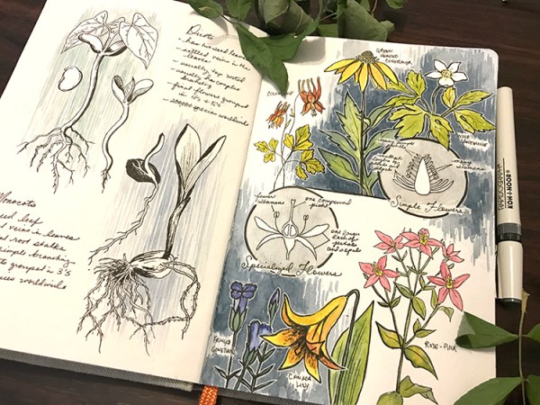 CryTheBird-wk35-Botany101(1)