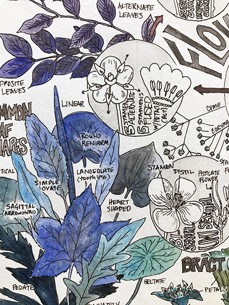 CryTheBird-Wk35-Detail-LeafShapes