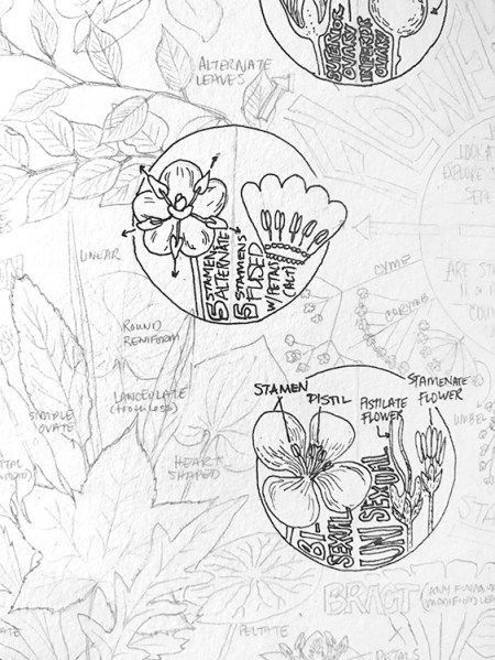 CryTheBird-wk35-FlowerProfile(prelim)