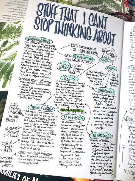 crythebird-wk35-skbk1