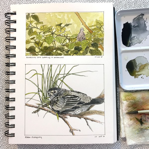 CryTheBird-Inktober2017-Day5and6