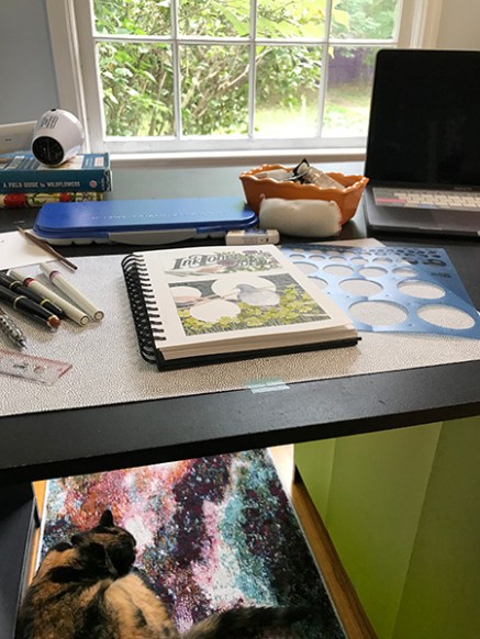 CryTheBird-StudioLife(withCat)