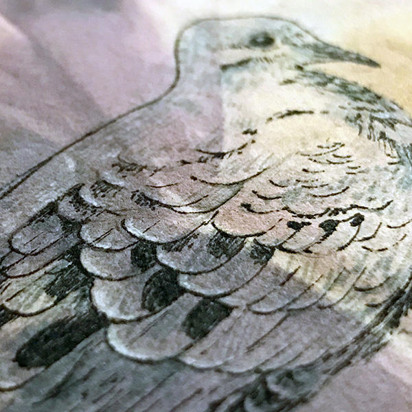 CryTheBird-Wk37-dove