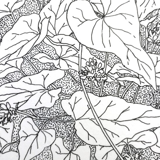 MLevacy-Inktober2017-day26(detail1)