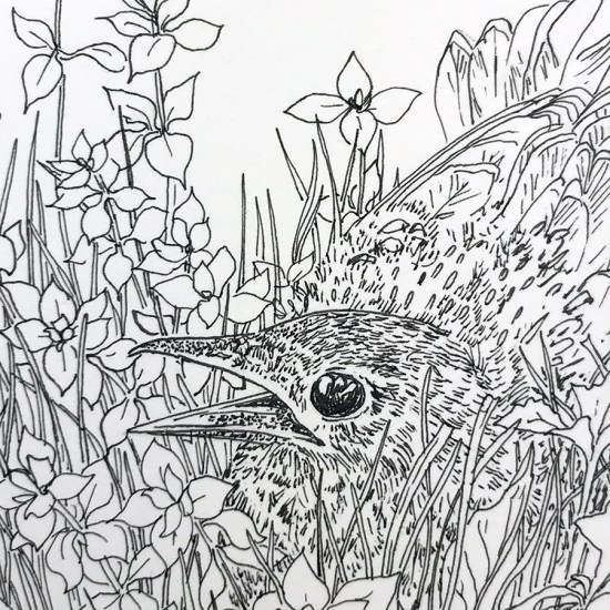 MLevacy-Inktober2017-day29(detail)