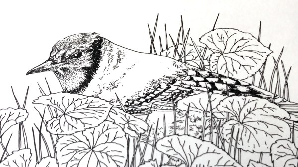 MLevacy-Inktober2017-YoutubeCoverDay17