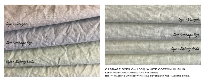 Crythebird(Levacy)-CabbageDye-Fabric(2)
