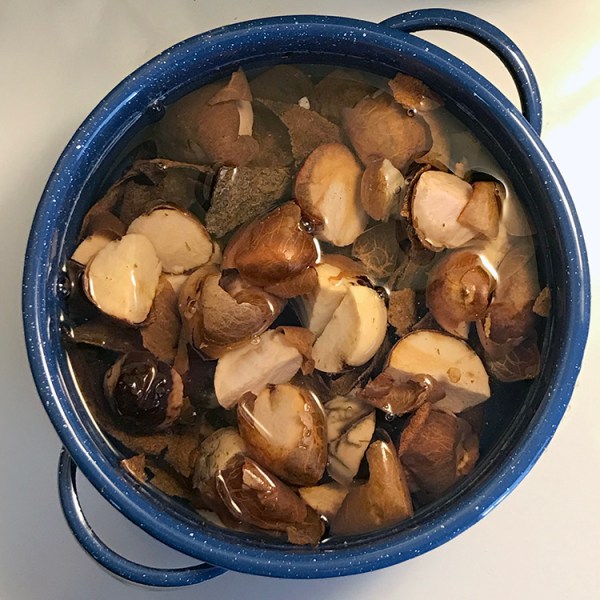 Crythebird(Levacy)-NaturalDyes-Avocado-pitprep