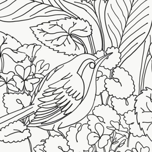 Crythebird(levacy)-emb-HostaWren(tease2)