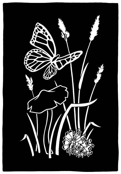 CryTheBird-WildlifeWeb-ForageCard