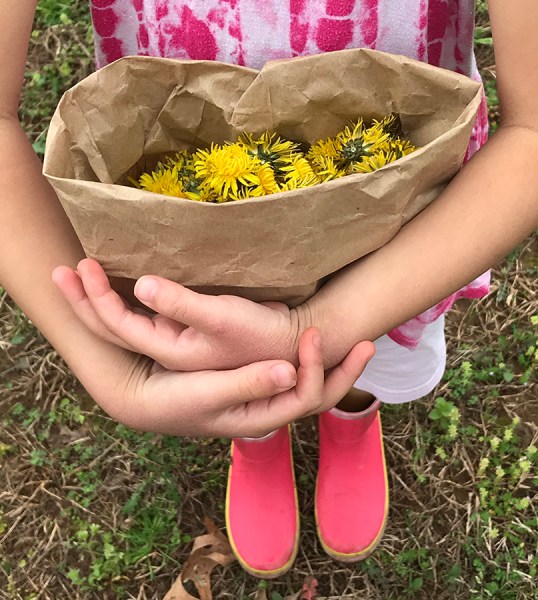 CryTheBird-DandelionJelly-Dandelions2