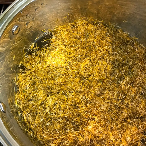 CryTheBird-DandelionJelly-Tea