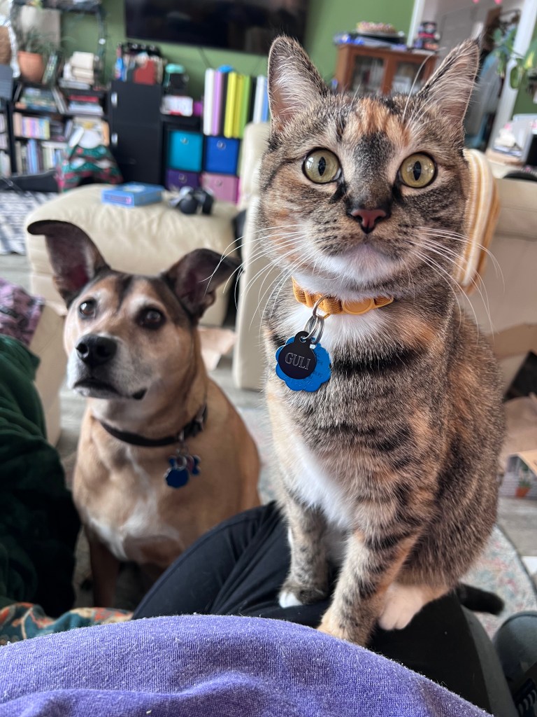 Guli the cat and Miso the dog.